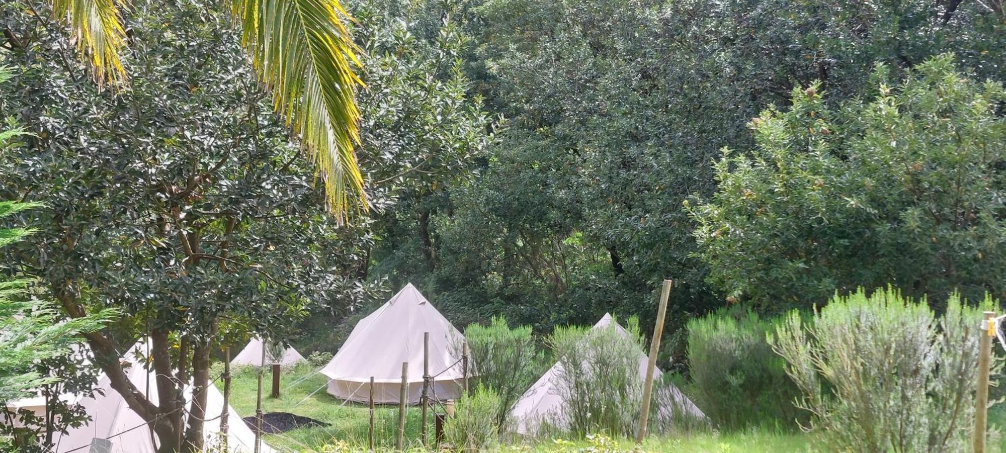 Nature Retreat - Laurel Forest Сейшал Экстерьер фото