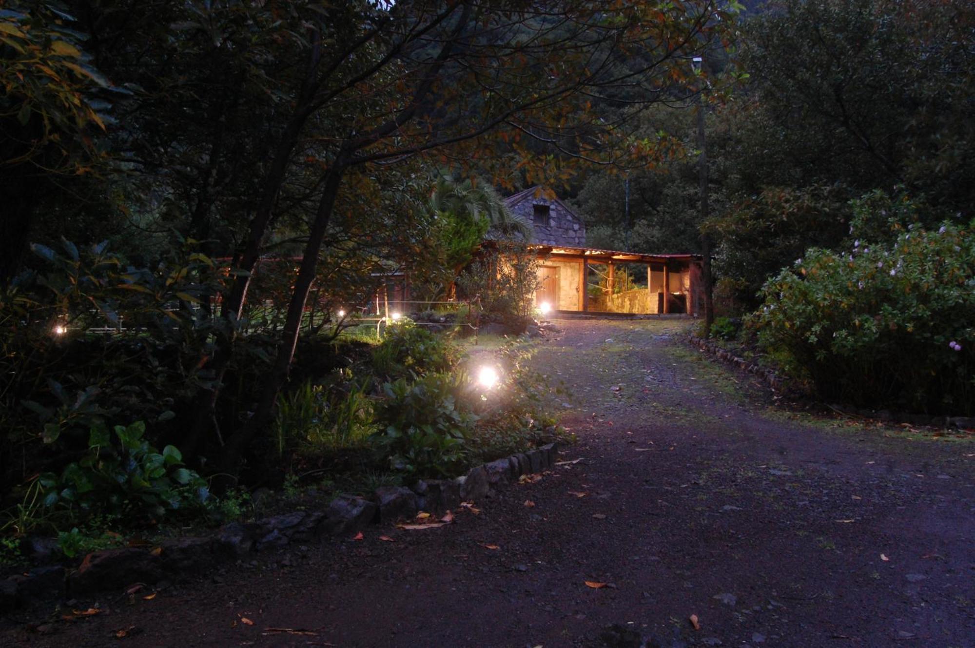 Nature Retreat - Laurel Forest Сейшал Экстерьер фото